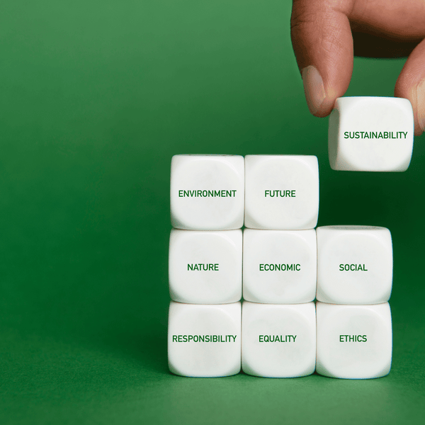 cannas nachhaltige Strategie für umweltschonende Möbel